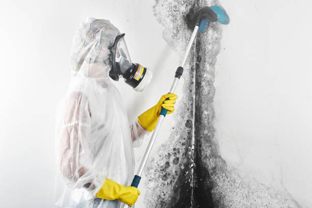 Best Indoor Air Quality Assessment  in Anthony, NM