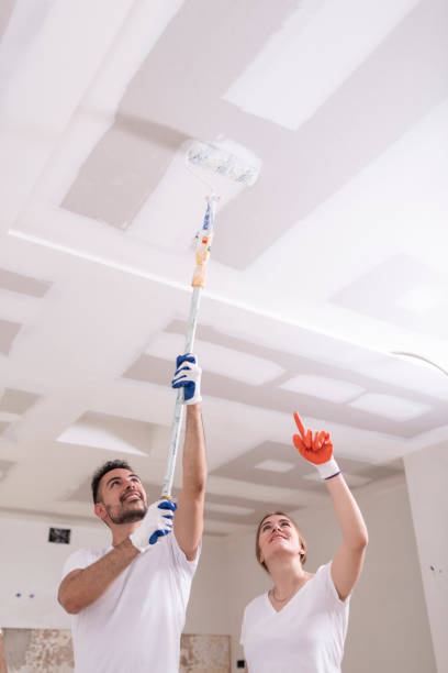 Dehumidification Services in Anthony, NM