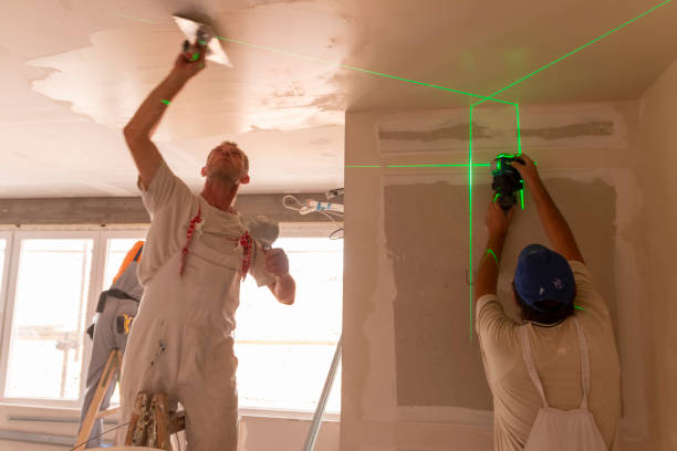 Best Mold Odor Removal Services  in Anthony, NM