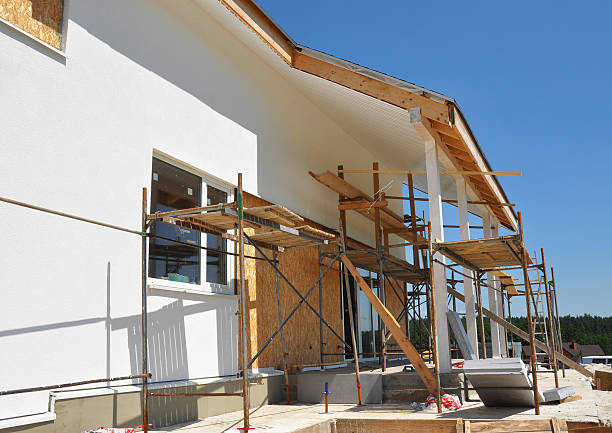 Mold Odor Removal Services in Anthony, NM