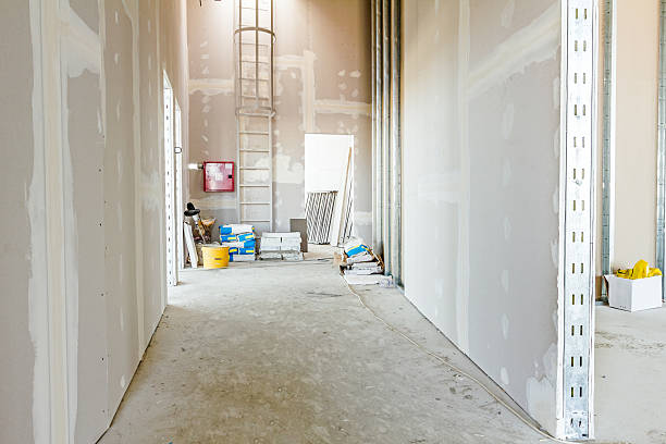Trusted Anthony, NM Mold Removal Experts