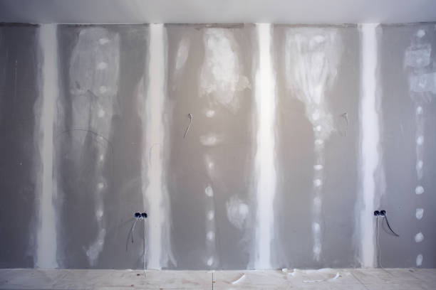 Best Dehumidification Services  in Anthony, NM